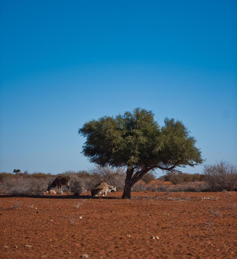 Kalahari Anib Campsite Hotel Hardap Kültér fotó